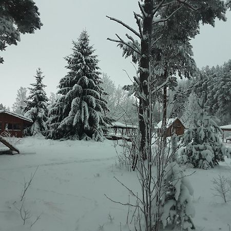 Hotel Elulong Camping à Lohusuu Extérieur photo