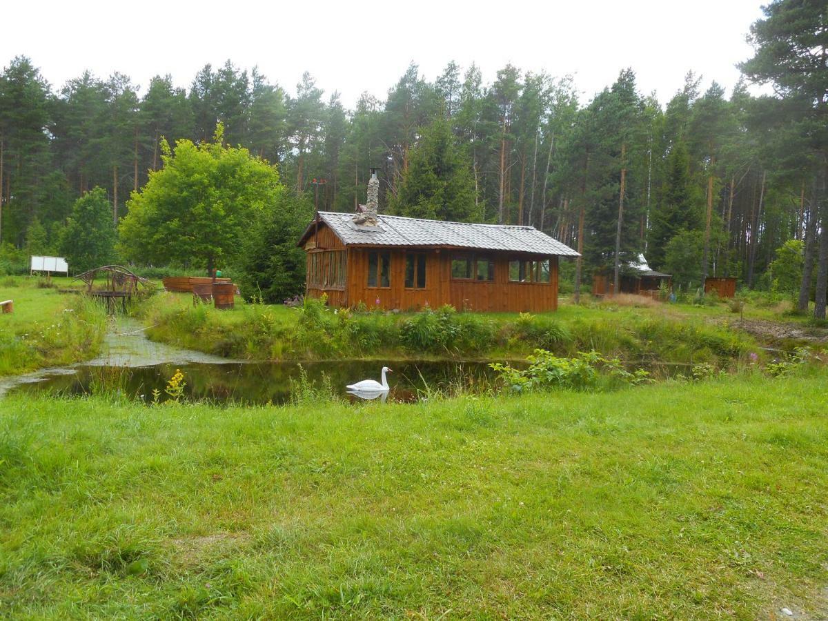 Hotel Elulong Camping à Lohusuu Extérieur photo